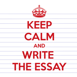 Essay writing how to